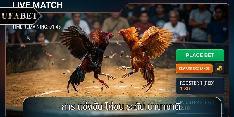 การ แข่งขัน ไก่ชน ระดับ นานาชาติ การ แข่งขัน ไก่ชน ระดับ นานาชาติ