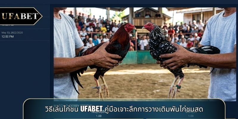 วิธีเล่นไก่ชน UFABET คู่มือเจาะลึกการวางเดิมพันไก่ชนสด
